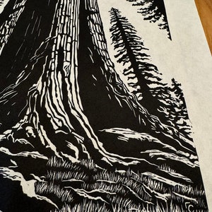 A Redwood Forest Giant, Linocut Tree Print image 3