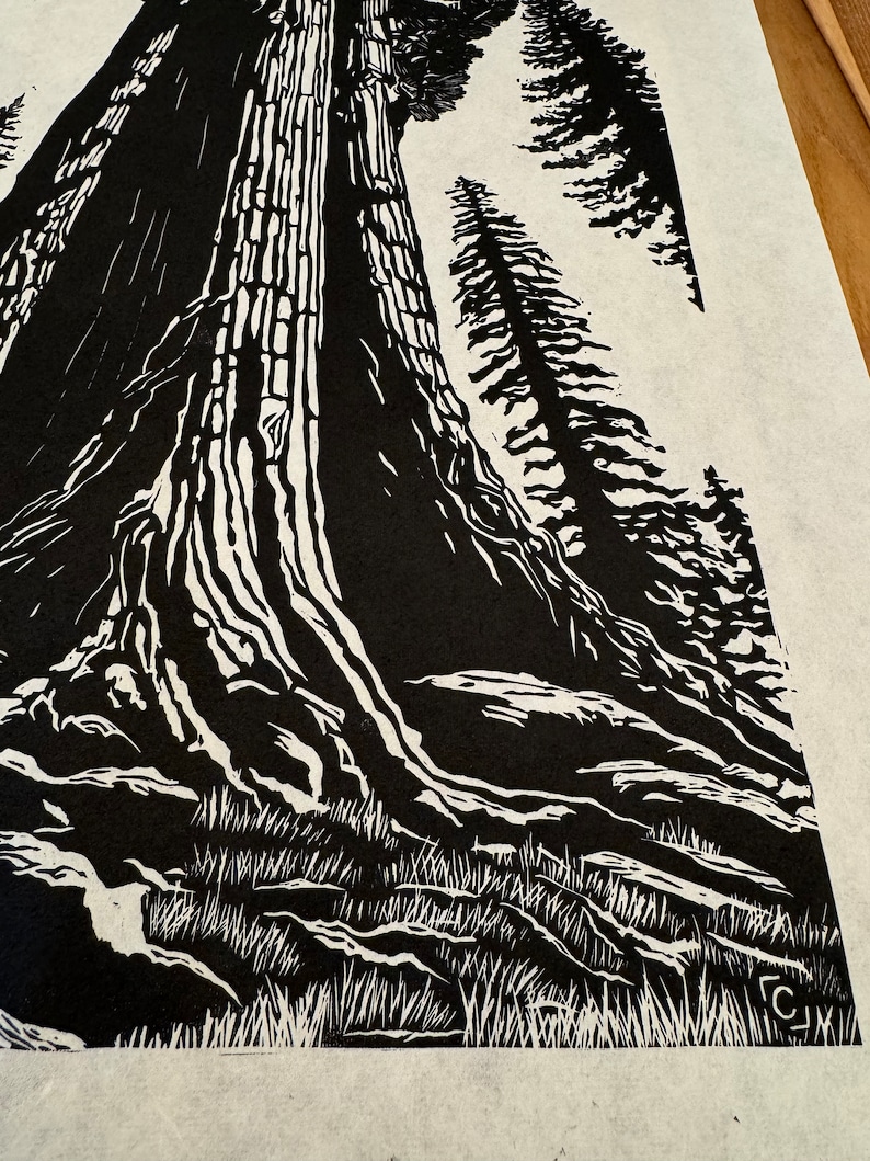 A Redwood Forest Giant, Linocut Tree Print image 3