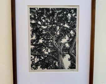 Grabado original en linóleo de edición abierta, enmarcado, titulado "Laurelwood Drive, Oak Tree" (Carpeta de Laurelwood Drive, Roble), en edición abierta.