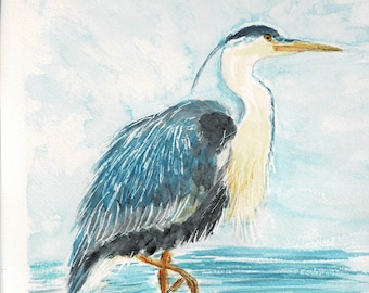 Heron in Water