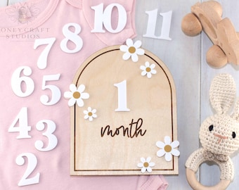 Personalized Baby Monthly Milestone Sign: Wooden Arch with Acrylic Numbers