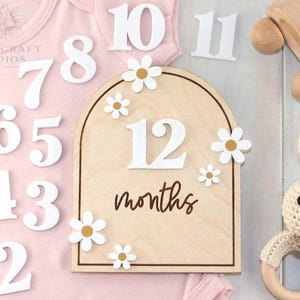 Jalon en bois pour bébé, jalon du mois, signe de nom de l'hôpital, accessoire photo pour bébé, cadeau de shower de bébé personnalisé, jalons importants pour le nouveau-né, bébé fille