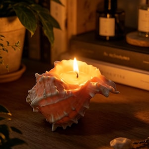 Könnte beinhalten: Eine brennende Kerze in einem muschelförmigen Halter. Die Kerze ist orange und die Flamme hell. Die Muschel hat eine hellkorallenfarbene Farbe und steht auf einer Holzoberfläche. Weitere Gegenstände im Hintergrund sind Bücher, Pflanzen und ein Diffusor.