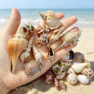 Peut inclure: Une collection de divers coquillages naturels, chacun muni d'une petite boucle en métal doré sur le dessus pour servir de pendentif. Les coquillages présentent des formes, des tailles et des motifs variés, notamment en spirale, coniques et épineux, dans des tons de brun, blanc, vert et beige.