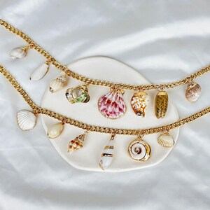 May include: Two gold-coloured chain necklaces featuring seashell charms. The charms vary in shape, size, and colour, including white, pink, and brown. The necklaces are presented on a white, oval-shaped plate.