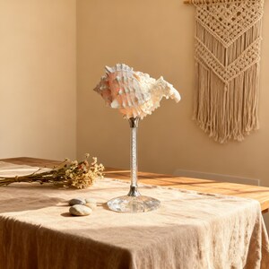 May include: A decorative seashell lamp with a white and peach-colored conch shell shade. The lamp has a clear crystal stem and a silver base, sitting on a beige tablecloth. Dried flowers and small stones are also on the table.