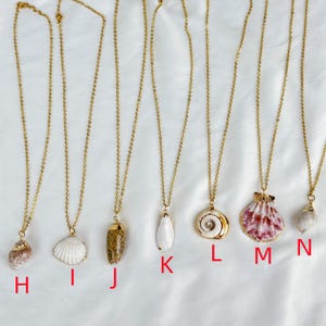 Op de afbeelding: Een verzameling goudkleurige kettingen, elk met een unieke schelpenhanger. De hangers vari&euml;ren in vorm, grootte en kleur, waaronder witte, bruine en roze schelpen. De kettingen worden op een witte ondergrond getoond.