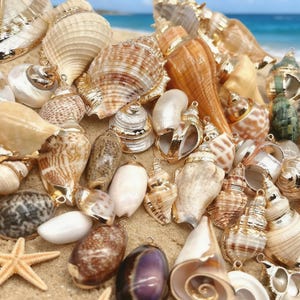 May include: A selection of seashells with gold-coloured metal detailing, arranged on sand. The shells display a range of sizes, shapes, and colours, including white, brown, and tan. A starfish is visible in the lower left corner, with a blurred ocean backdrop.