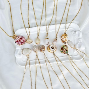 Op de afbeelding: Een verzameling goudkleurige kettingen met verschillende schelpen als hangers. De schelpen vertonen een reeks kleuren, waaronder wit, roze, bruin en goud. De kettingen zijn gerangschikt op een wit dienblad tegen een witte achtergrond.