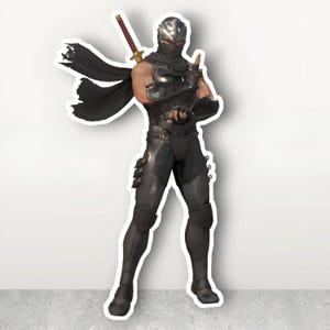 Hayabusa Ninja Gaiden Dead or Alive Vinyl Sticker - Cool Decal *Pack of 2.