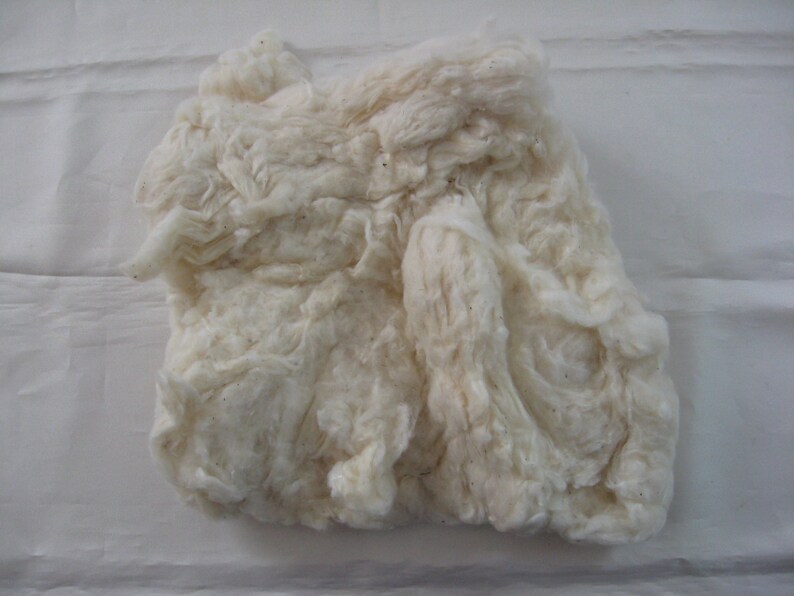 200 gr Raw Cotton Fiber Filling Grown in Israel Natural Etsy