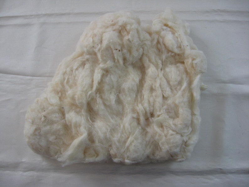 200 Gr Raw Cotton Fiber Filling Grown in Israel Natural Etsy