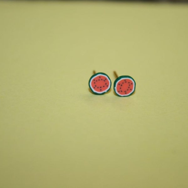 Tiny Watermelon Earring Studs