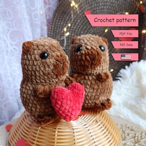 Capybara Valentine-haakpatroon, Capybara No Sew-amigurumipatroon, digitaal patroon op Engels, DIY-amigurumi, pdf-bestand direct downloaden
