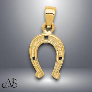 14K Yellow Gold Horseshoe Pendant with Chain Necklace options