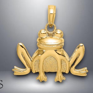 14K Yellow Gold Textured Sitting Frog Charm with Necklace Chain Options