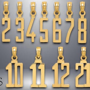 14K or 10K Gold Numbers Pendant Charms in Yellow or White Gold - Single and Double Digit Number