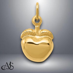 14K Yellow Gold Apple Pendant Charm with Necklace Chain Options