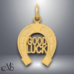 14K Yellow Gold Horseshoe Pendant Charm with Chain Necklace options