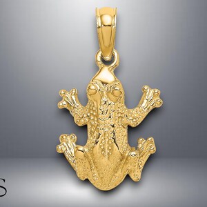 14K Yellow Gold 2-D Textured Top View Frog Charm with Necklace Chain Options