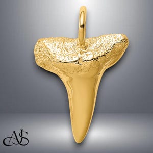 14K Yellow Gold Shark Tooth Pendant with Necklace Chain Options