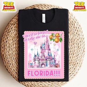 I Need To Forget So Take Me To Florida!!! Disney Castle Shirt, Taylor TTPD Shirt, Taylor Florida Lyric Tee, Florida Vacation Shirt, Disney T