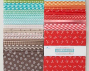 Lori Holt Riley Blake Assorted Prints Limited Release Pre-cut Layer Cake, 10-inch squares