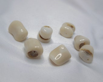 IVORY BRANCH CORAL Beads; White Brown Nugget Beads; Set of 7 Natural Branch Coral Beads; Wire Wrap Beads; Pendant Beads