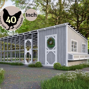 Large Chicken Coop plans, DIY Coop Build Plans PDF, Secure Walk-in Chicken Coop for backyard farming