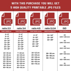 Puede incluir: Un gr&aacute;fico que muestra los diferentes tama&ntilde;os y proporciones de cinco archivos JPG imprimibles de alta calidad. El gr&aacute;fico incluye medidas en pulgadas y cent&iacute;metros.