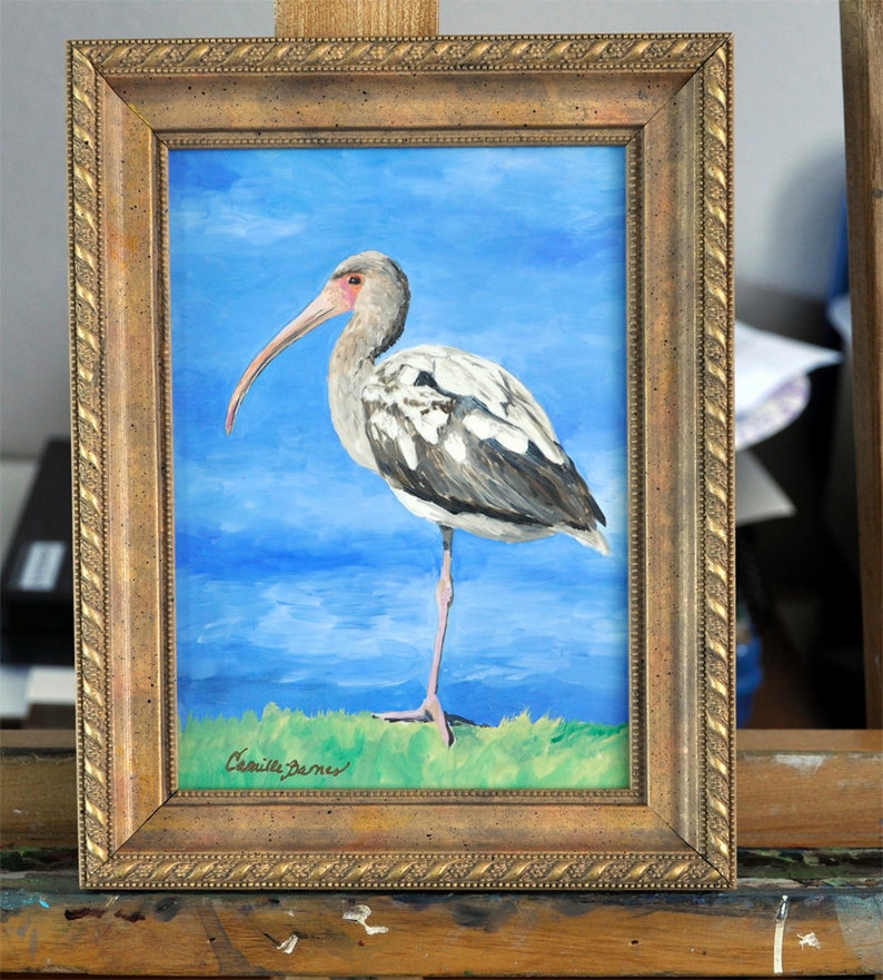 White Ibis Original Oil Painting Framed Louisiana Etsy