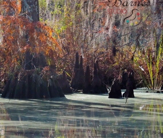 Bayou Liberty