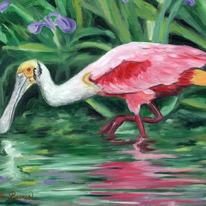 May include: A pink roseate spoonbill wading in a shallow pond with green water and purple irises in the background.