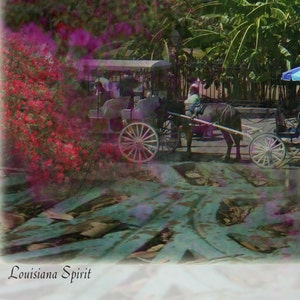 Louisiana Spirit 8' x 10 image 3