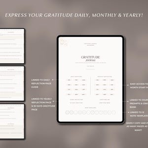 Daily Gratitude Reflection