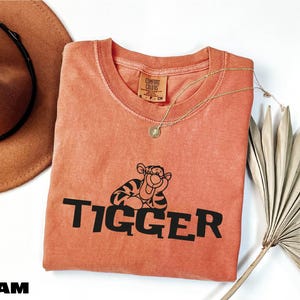 Disney Tigger Shirt, Comfort Colors T-Shirt, Winnie The Pooh Shirt, Disneyland Shirt, Disney Vacation Sweatshirt, Disneyworld Tigger Shirt