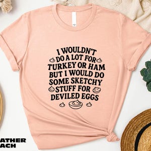 a pink t-shirt with a humorous text printed on it, along with some other items such as a hat, a plant, and a bowl.
