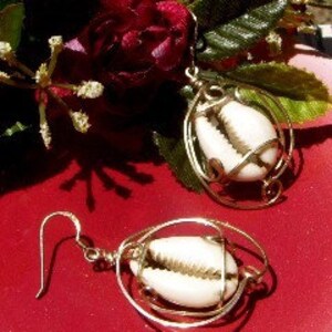 May include: A pair of gold-toned earrings featuring a white cowrie shell encased in a wire design.