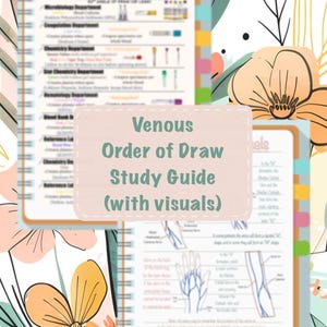 May include: A study guide for phlebotomy students, with the title "Venous Order of Draw Study Guide (with visuals)". The guide includes a diagram of the veins in the arm and hand, with labels for the different veins.
