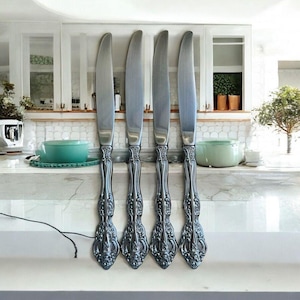 4 Oneida Michelangelo Dinner Knives Stainless Heirloom Glossy  Flatware  9 In