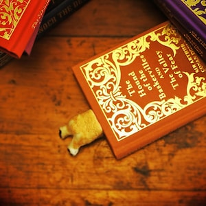 May include: A red hardback book with gold lettering titled "The Hound of the Baskervilles and The Valley of Fear" by Sir Arthur Conan Doyle. A small, brown, plush dog bookmark is sticking out from the book.