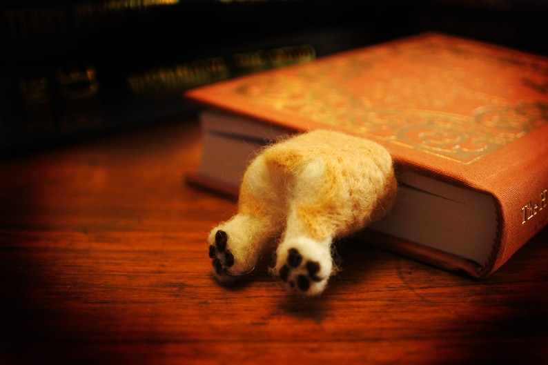 A tan corgi butt facing the camera in a brown book on a wooden table