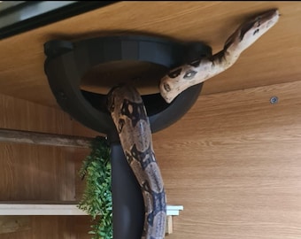24&quot; 580mm Snake Hide/home for top of the tank with a solid base ,supplied with pins for stability