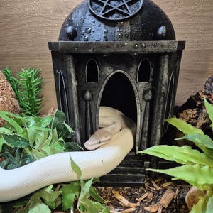 Mausoleum Hide For Snakes and Lizards