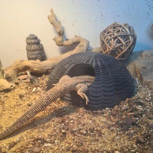 May include: A black reptile hide with a textured surface and a small opening. A lizard is partially inside the hide.
