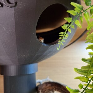 以下が含まれることがあります： 丸い開口部のある黒いプラスチック製の爬虫類の隠れ家。小さな茶色のヘビが開口部から顔を出しています。隠れ家は緑の葉のついた枝に付けられています。