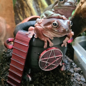 May include: Two green and brown tree frogs perched on a black cauldron with a red pentagram design. The cauldron has a red metal ladder on the side.