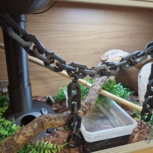 Slangenklimketting voor korenslangen