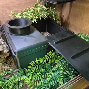 Fossorial Hide with Entrance/ Burrow hide for boes corn snakes