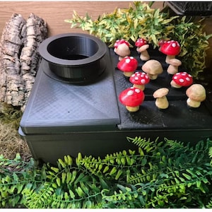 May include: A black terrarium hide with a circular opening on top, decorated with miniature red and white spotted mushrooms. The hide is surrounded by green foliage and a piece of cork bark.